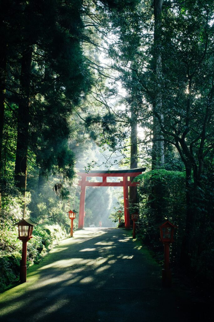 Sentier forestier avec un portail torii rouge et des lanternes en bois